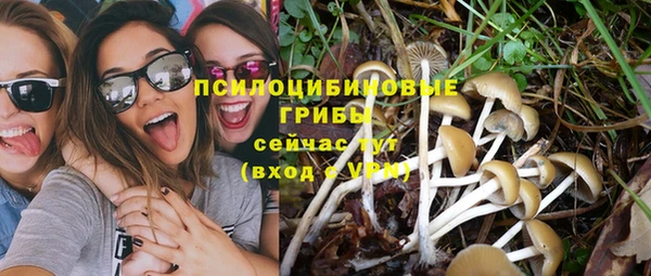 метадон Алексеевка