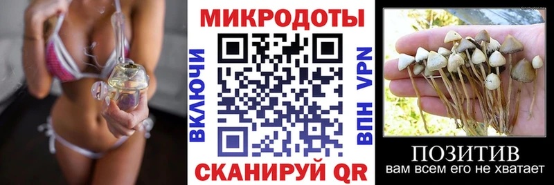 Галлюциногенные грибы мухоморы  OMG ссылки  Аргун  купить наркоту 