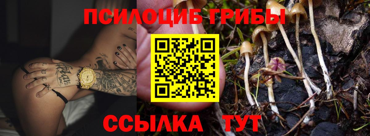 Галлюциногенные грибы Psilocybine cubensis  Вход с VPN  где продают   Аргун 