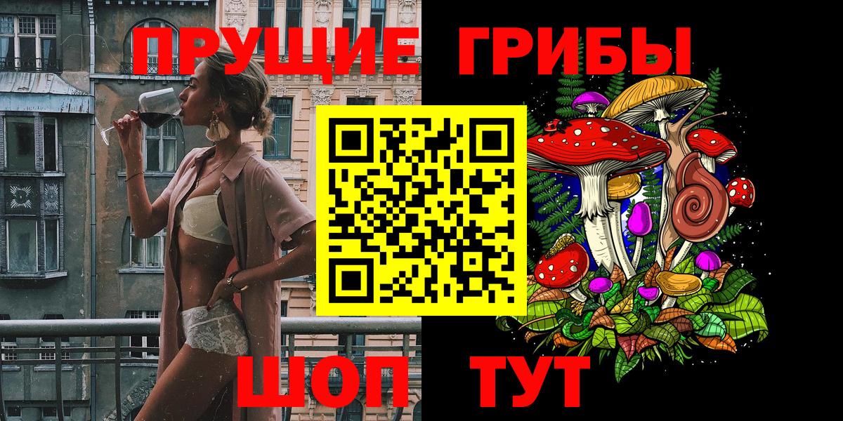 Псилоцибиновые грибы Psilocybe Аргун